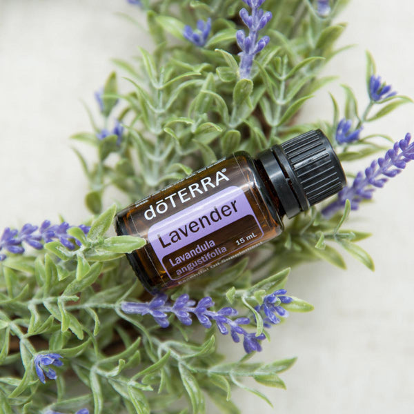 dōTERRA lavender essential oil – OR: the alternative